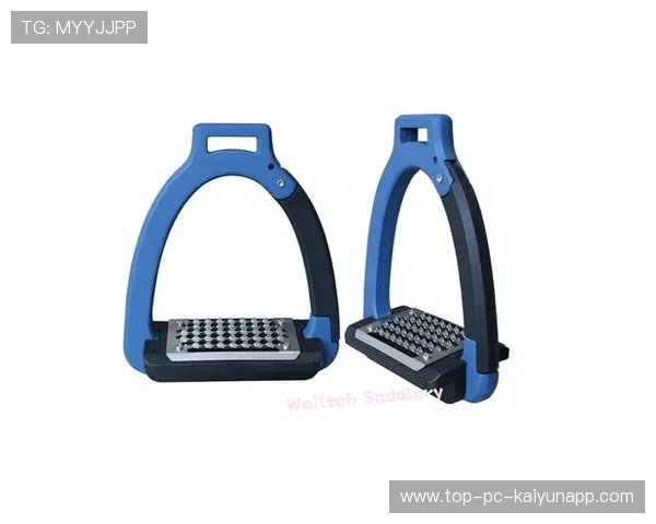 比利时马术协会引入智能马鞍系统，实现实时数据监测与分析，提升骑乘体验。