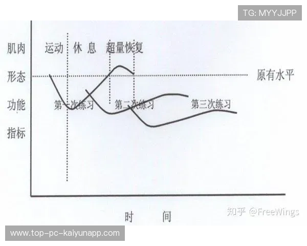 国际游泳教练在训练中采用生物力学评估与力量数据指导训练负荷 国际游泳教练在训练中采用生物力学评估与力量数据指导训练负荷
